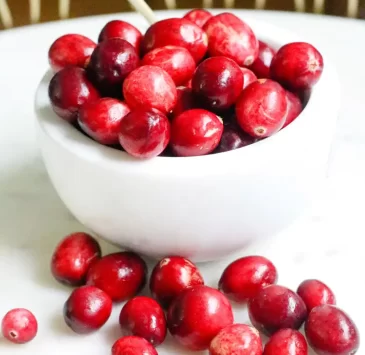 Cranberry, the Superfood that has gone viral